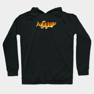 Kuhli Loach Fish Hoodie